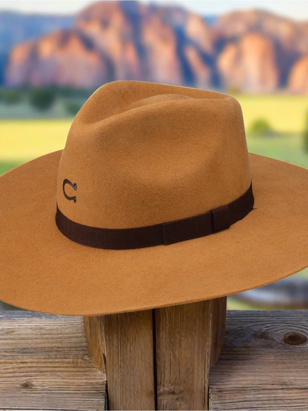 Charlie 1 horse Highway jr hat tan